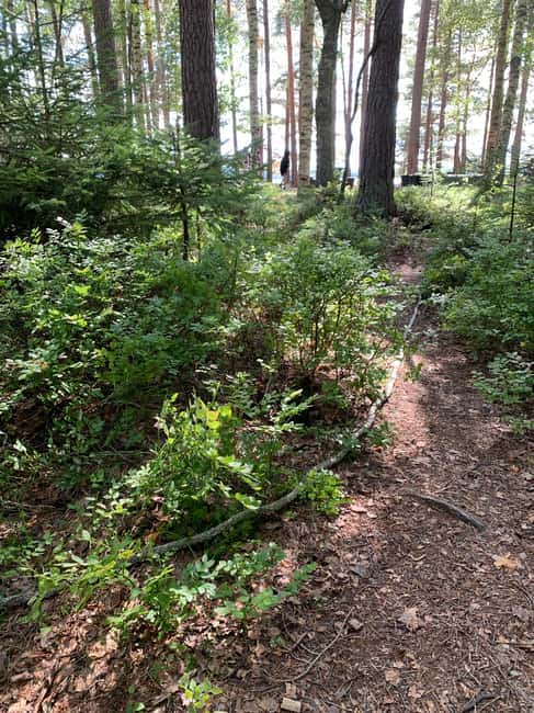 Tiveden: The Legend of Junker Jägare Guided Hike - Key Points