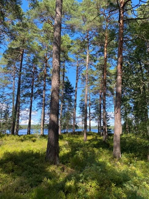 Tiveden: The Legend of Junker Jägare Guided Hike - Discovering Hidden Gems Along the Paved Trail