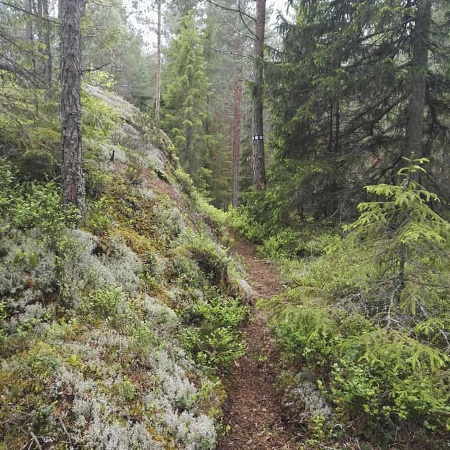 Tiveden: The Legend of Junker Jägare Guided Hike - Supporting Rural Development Through Guided Tours