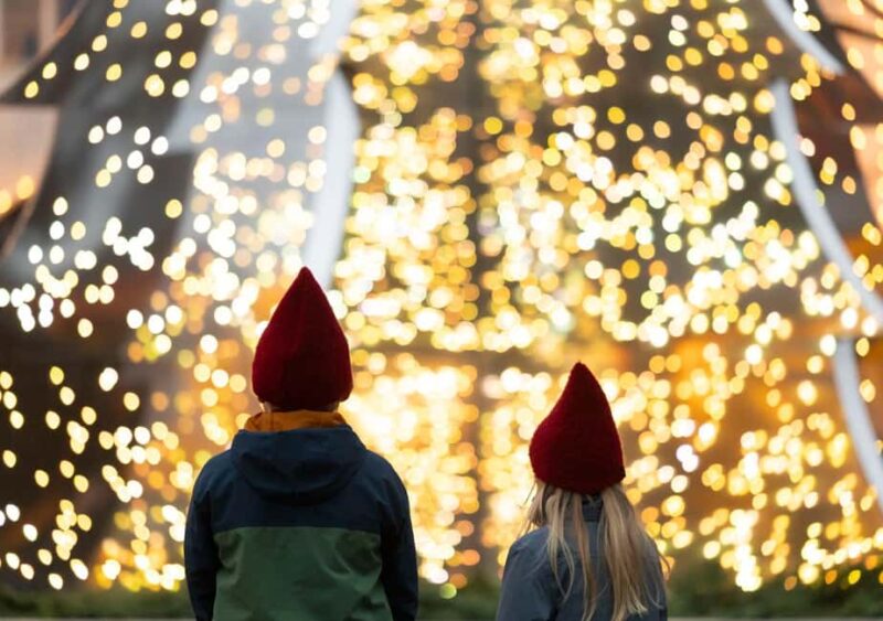 Tivoli Gardens Christmas Season Entry Ticket - Key Points