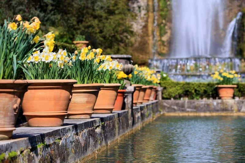 Tivoli: Villa D'Este Entry Ticket with Audio Guide App - The Postcard Feature and Sharing Your Experience