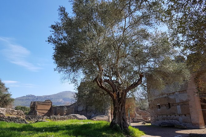 Tivoli Villas Full Day Trip From Rome with Lunch - Physical Demands and Accessibility Considerations