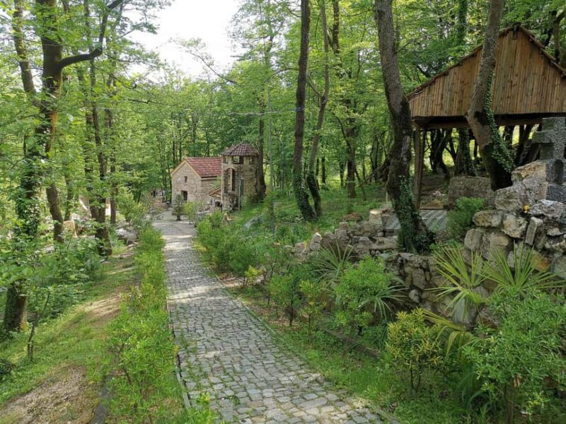 Tkibuli Day Trip with Wine & Tea Tasting from Kutaisi - Visiting the Ancient Winepress Carved into a Rock Cliff