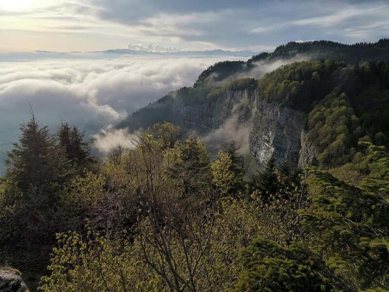 Tkibuli Day Trip with Wine & Tea Tasting from Kutaisi - Hiking to Tskhrajvari Ridge for Panoramic Views