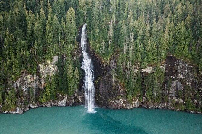 Toba Bears and Wilderness Grizzly Bear Viewing in Campbell River - Scenic Boat Ride Across the Salish Sea