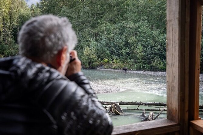 Toba Bears and Wilderness Grizzly Bear Viewing in Campbell River - Value and Booking Considerations