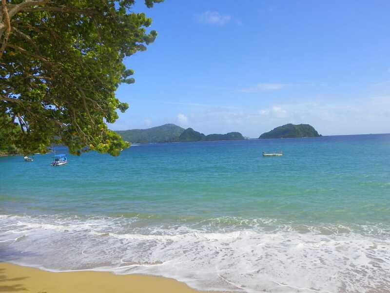 Tobago: Buccoo Reef Glass Bottom Boat Tour - Optional BBQ and Caribbean Party on No-Mans-Land