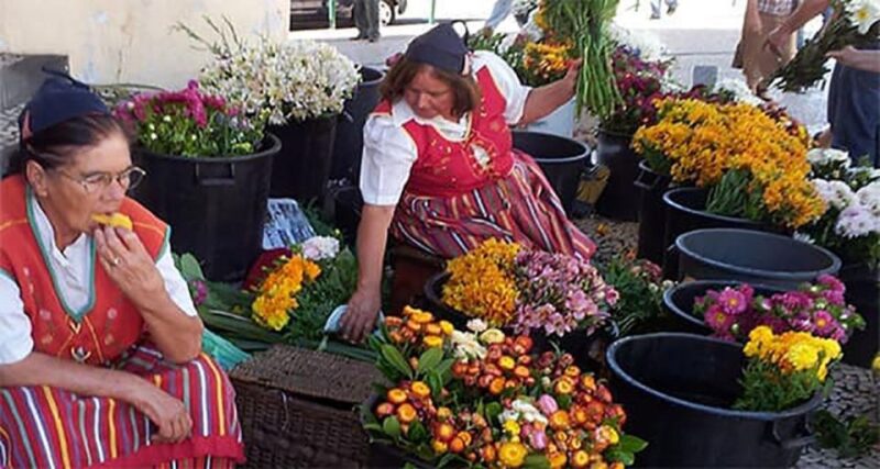Toboggan Ride & Madeira Wine Tasting Tour - Exciting Combination of Madeira’s Iconic Toboggan Ride and Local Wine Tasting