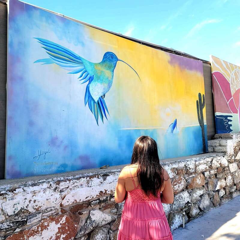 Todos Santos: Art & Culture Experience by Mexican Artist - Key Points