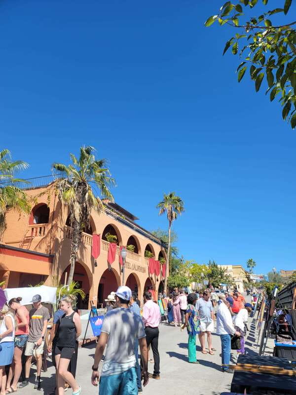 Todos Santos: Art & Culture Experience by Mexican Artist - Flexibility and Booking Options