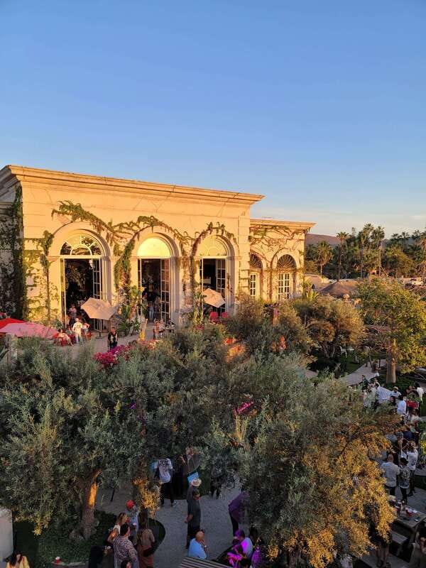 Todos Santos: Art & Culture Experience by Mexican Artist - Comparing Similar Experiences and Options