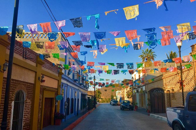 Todos Santos Day Trip from Cabo San Lucas - Additional Cultural Insights and Local Crafts