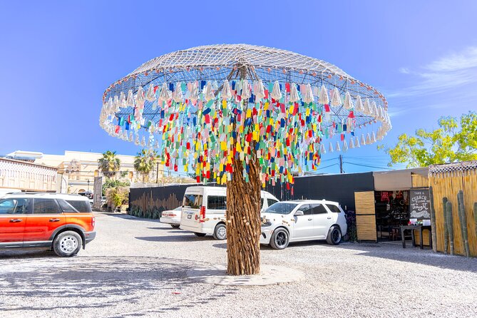 Todos Santos Tequila Tasting and Cultural Tour - Considerations and Tips