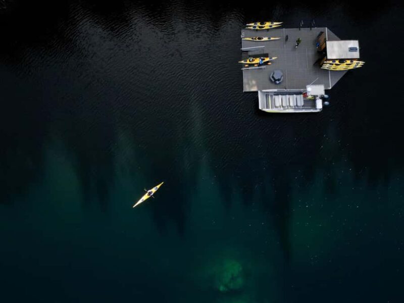 Tofino: Clayoquot Sound Kayak Tour with Boat Ride - Wildlife Encounters in the Sound