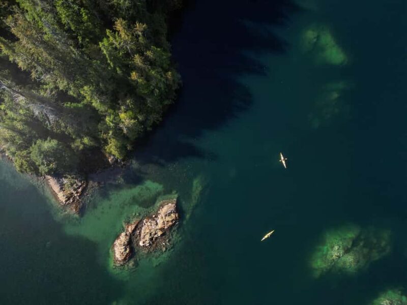 Tofino: Clayoquot Sound Kayak Tour with Boat Ride - Accessibility and Physical Requirements