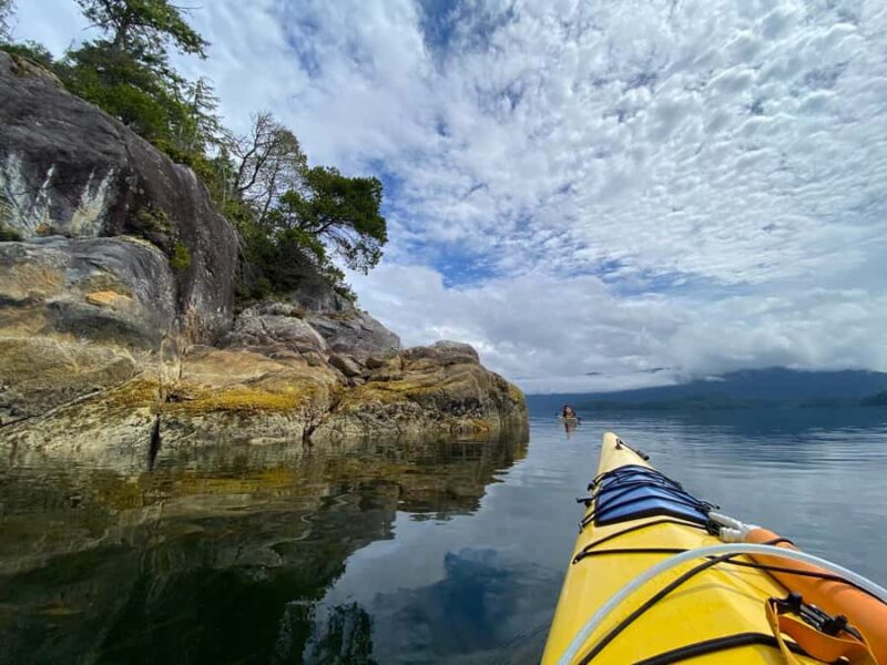 Tofino: Clayoquot Sound Kayak Tour with Boat Ride - Why This Tour Excels in Wildlife and Nature Immersion