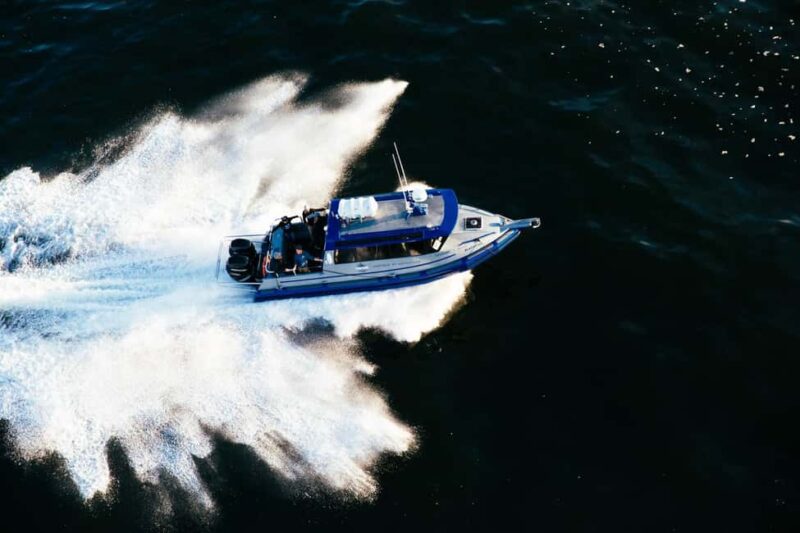 Tofino: Covered Boat Winter Wildlife Watching Tour - What to Bring for a Comfortable Wildlife Safari