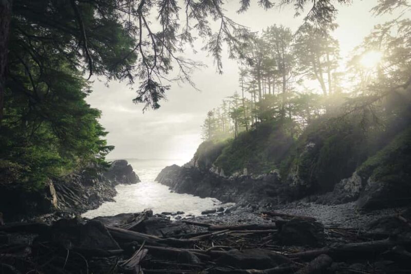 Tofino: Hot Springs Cove Tour with Wildlife Cruise - Discover the Tofino: Hot Springs Cove Tour with Wildlife Cruise