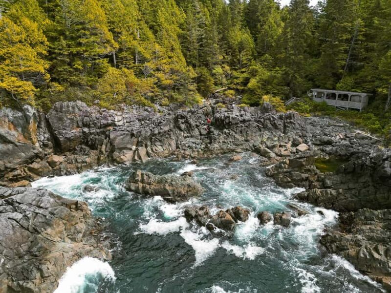 Tofino: Hot Springs Cove Tour with Wildlife Cruise - Key Points