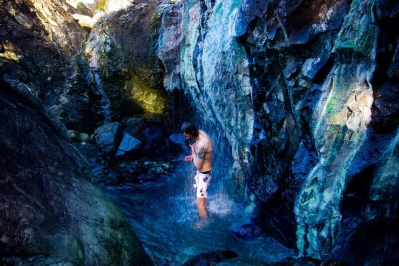 Tofino: Hot Springs Cove Tour with Wildlife Cruise - Wildlife and Scenery During the Cruise