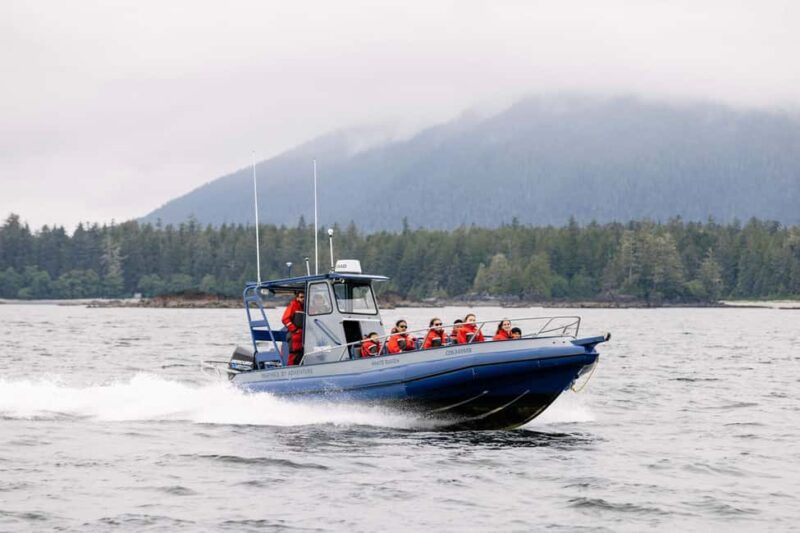 Tofino: Whale Watching Tour with Nature Guide - Learning from Expert Guides on Marine Biodiversity