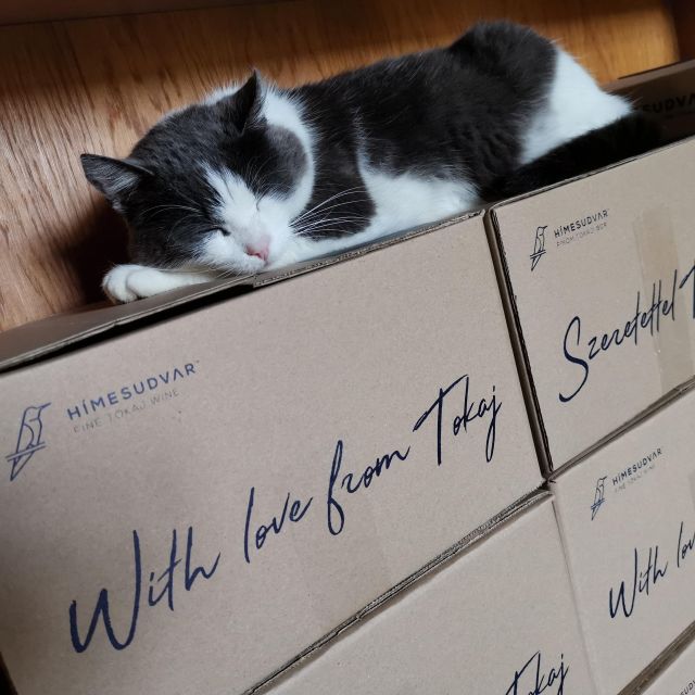 Tokaj: Classic Wine Tasting - Who Should Consider This Tour?