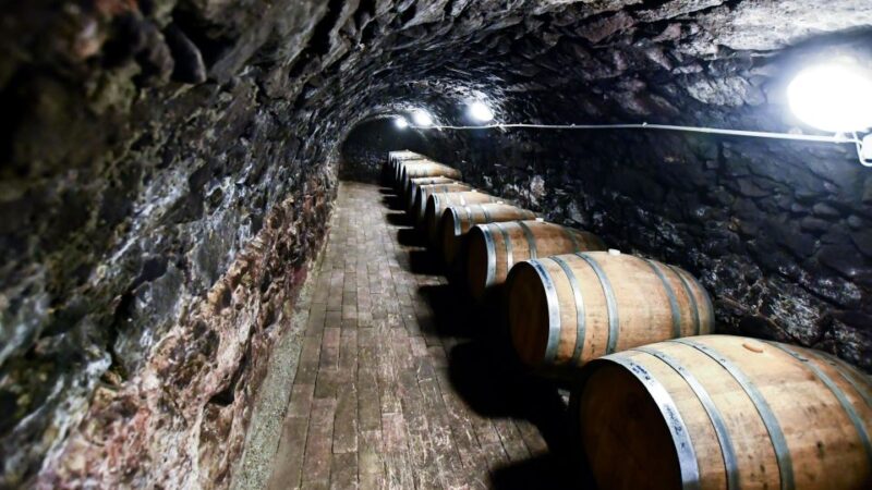 Tokaj: Vineyard Tour & Tasting - Discover the Charm of Tokaj: A Family-Owned Vineyard Experience for Wine Enthusiasts