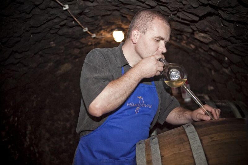 Tokaj: Vineyard Tour & Tasting - Key Points