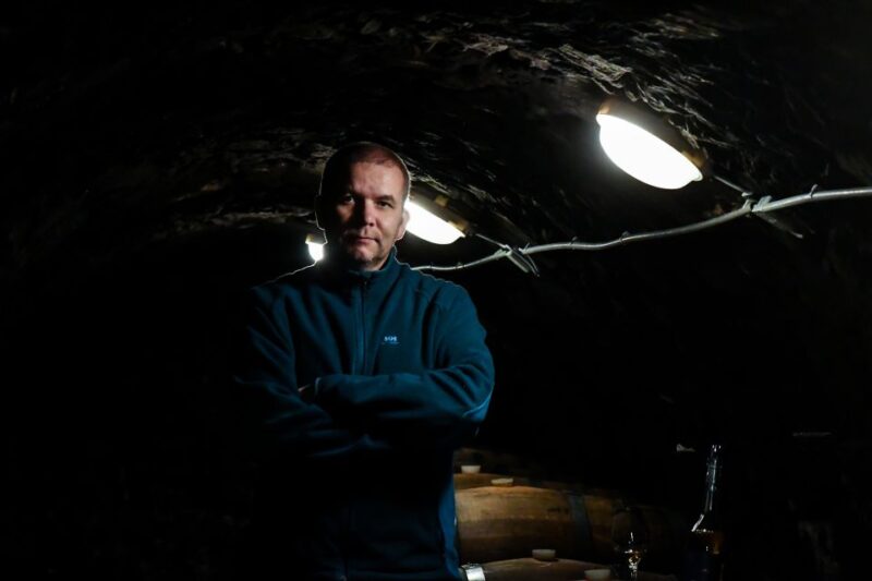 Tokaj: Vineyard Tour & Tasting - Walking Through the Vineyard: Scenic Views and Grape Varieties