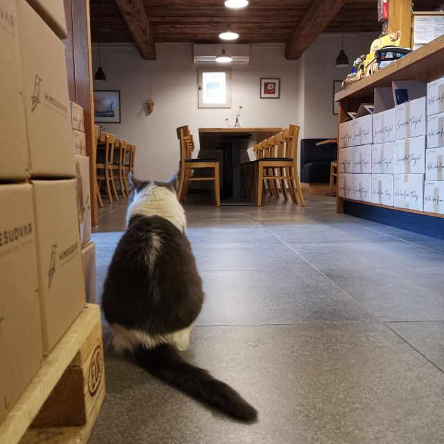 Tokaj: Vineyard Tour & Tasting - Practical Details and What to Bring