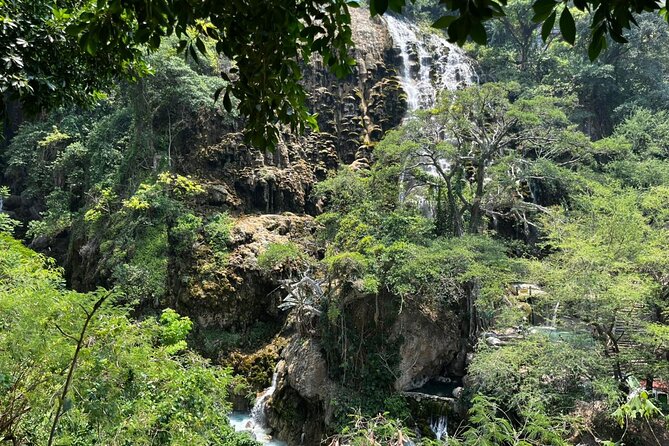 Tolantongo Private Tour Day Tour Hot Springs Paradise - The Comfort and Convenience of Private Transportation