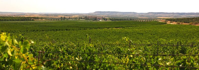 Toledo: Casa del Valle Winery Tour and Wine Tasting - Key Points