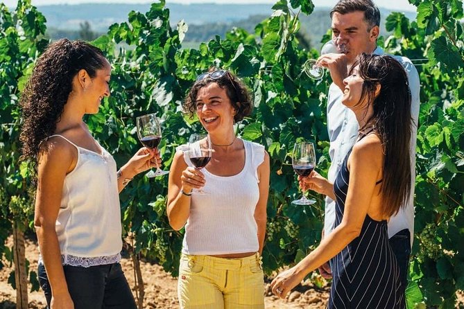 Toledo City Tour, Winery Experience & Wine Tasting from Madrid - Starting Point and Logistics in Madrid