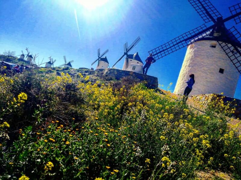 Toledo: Toledo & La Mancha Wine Tour - Windmills and Lunch Included. - What Sets This Tour Apart from Others