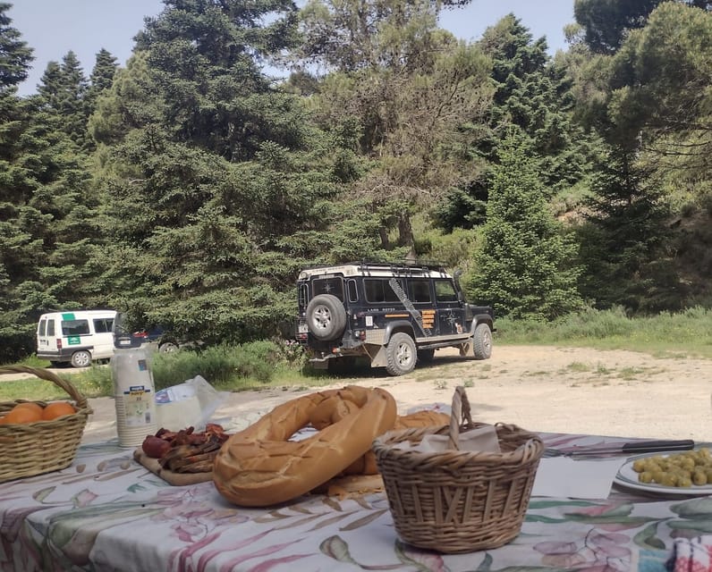 Tolox: Sierra de las Nieves National Park Private 4x4 Tour - Practicalities: Group Size, Flexibility, and Booking