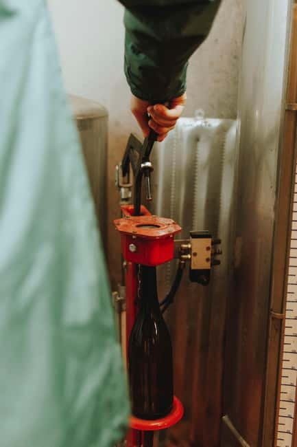 Tomar: Learn About Winemaking with a Tasting - Discover the Authentic Winemaking Experience at Margaval Vinhos