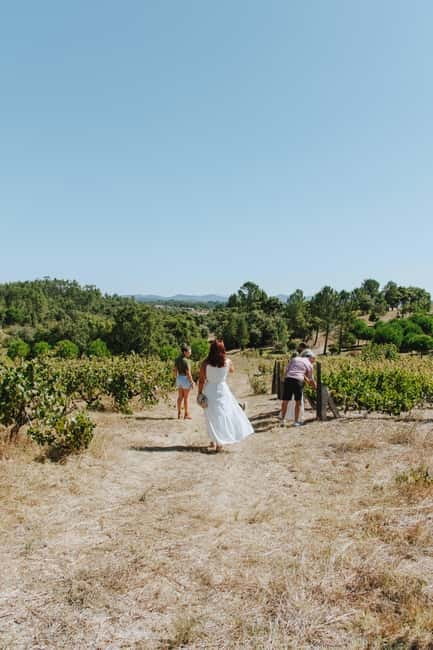 Tomar: Lunch among the vineyards - Starting in the Winery: Learning about Portuguese Wine