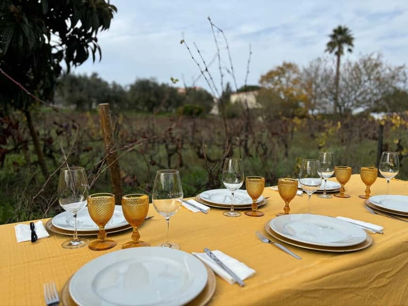 Tomar: Lunch among the vineyards - The Rustic Outdoor Lunch Amid Vineyards