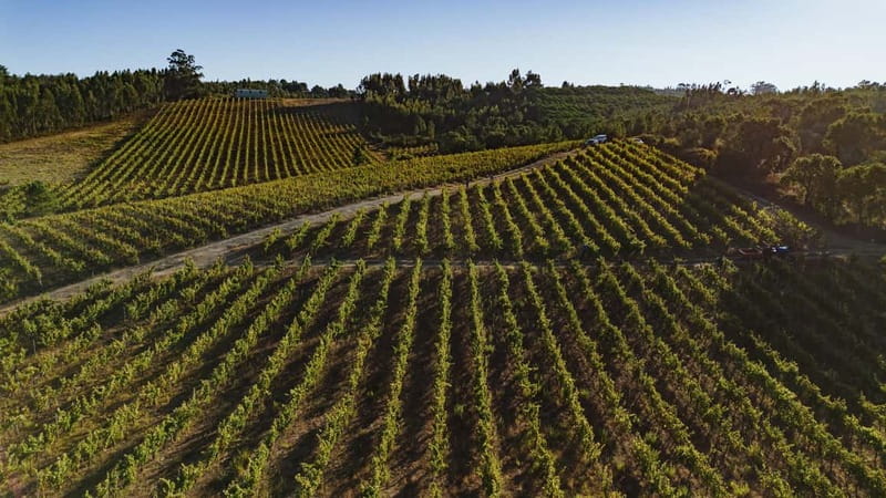 Tomar: Wine Picnic for Two - Key Points