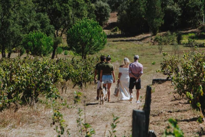 Tomar: Wine Tasting with Vinotherapy - Key Points