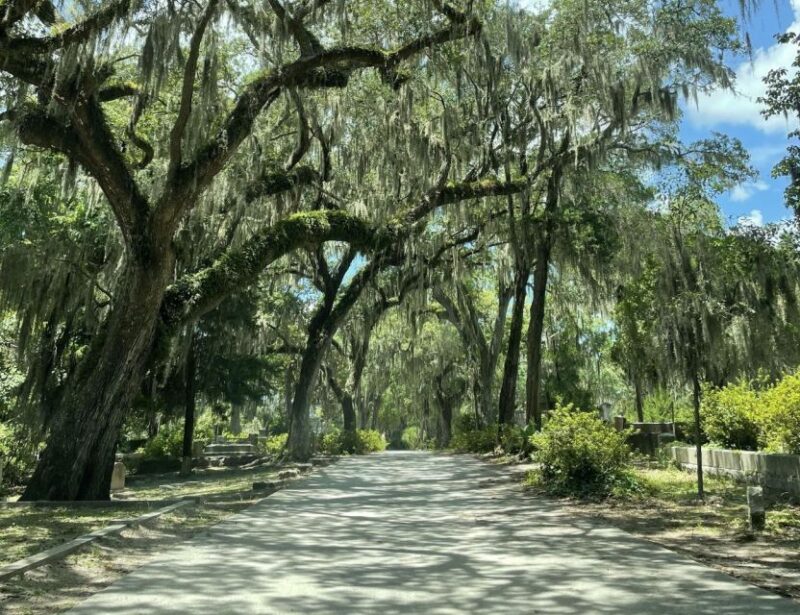 Tombs of Savannah: Bonaventure Cemetery Experience - Exploring the Tombs, Obelisks, and Plaques