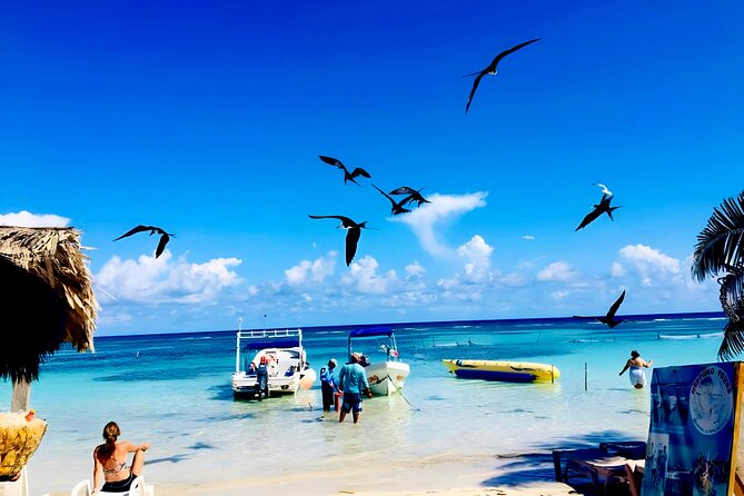 Top Experience: Costa Maya All Inclusive El Faro Beach Club - Oceanfront Massage and Beachside Amenities