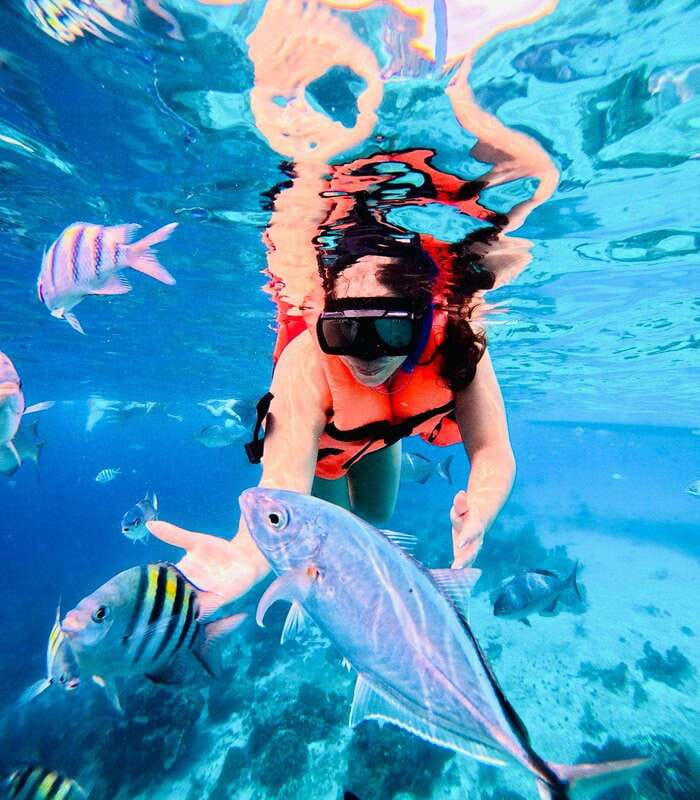 Top Experience: Snorkel & Beach Club All Inclusive / Open Bar & Lunch - Discover Costa Maya’s Vibrant Reef and Beach Club Experience for $165