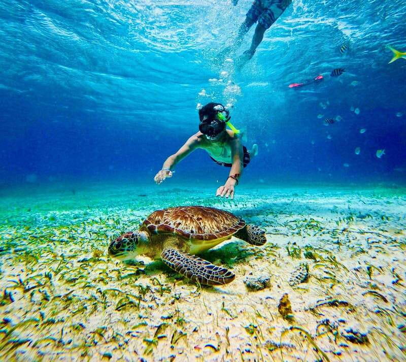Top Experience: Snorkel & Beach Club All Inclusive / Open Bar & Lunch - The Guided Snorkeling Tour: Exploring the Reefs of Costa Maya
