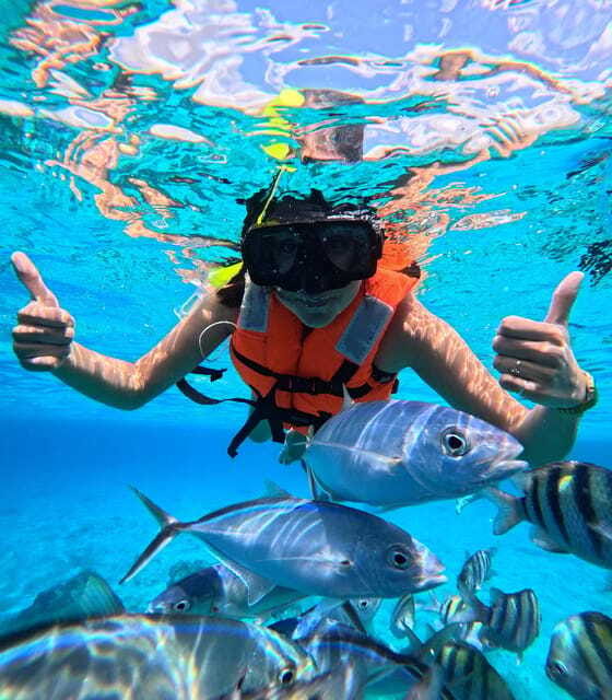 Top Experience: Snorkel & Beach Club All Inclusive / Open Bar & Lunch - Exclusive Access to a Private Beach Club with Reserved Lounge Chairs