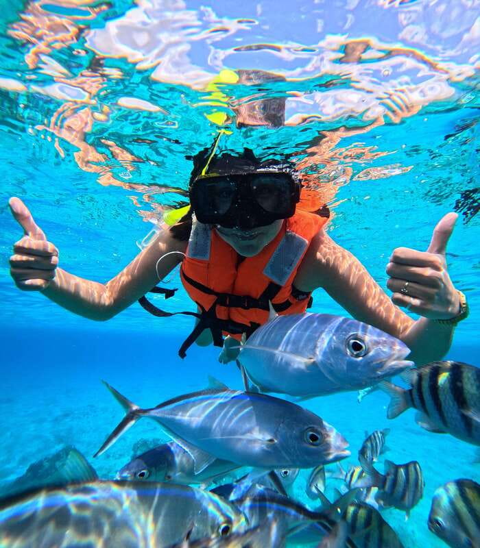 Top Experience: Snorkel & Beach Club All Inclusive / Open Bar & Lunch - Practical Details: Booking, Cancellation, and What to Bring