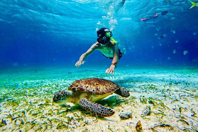 Top Experience: Snorkel Tour & All Inclusive Beach Club - Discover the All-Inclusive Snorkel & Beach Club Experience in Costa Maya