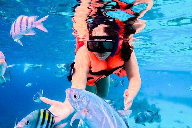 Top Experience: Snorkel Tour & All Inclusive Beach Club - The Starting Point: El Faro Restaurante y Club de Playa