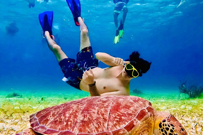 Top Experience: Snorkel Tour & All Inclusive Beach Club - Food, Drink, and Comfort at the Beach Club