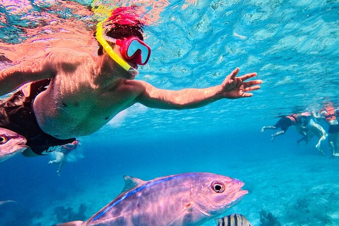 Top Experience: Snorkel Tour & All Inclusive Beach Club - Review Insights: Strengths and Areas for Improvement